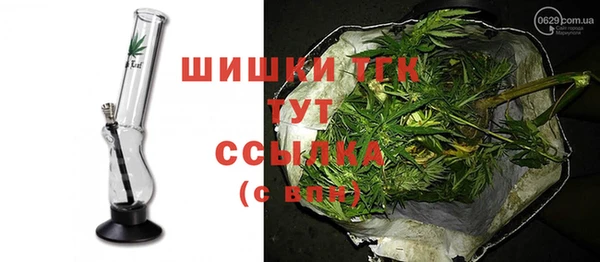 шишки Алексин