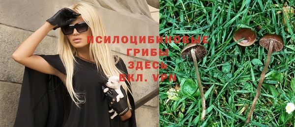шишки Алексин