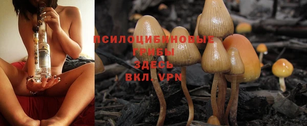 шишки Алексин