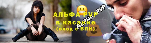 шишки Алексин